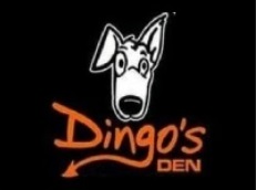 Dingos